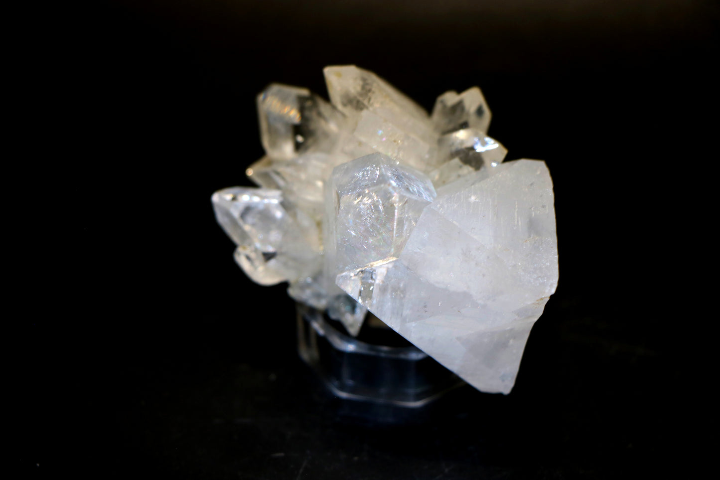 Himalayan Apophyllite Cluster